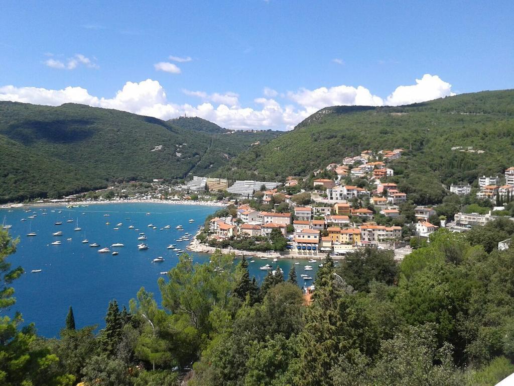Apartment Neda Z-Velika Okucnica, Besplatni Parking I Opticki Wi-Fi Labin  Δωμάτιο φωτογραφία